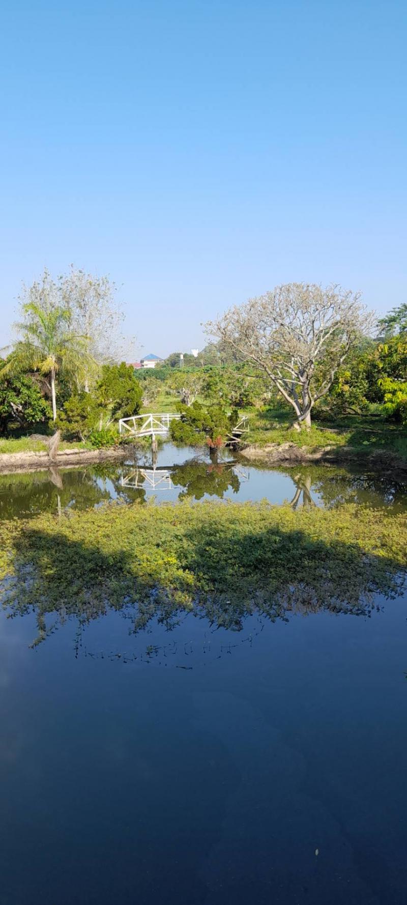 บ้านพร้อมที่ดิน 72000000 เชียงใหม่ สันทราย หนองหาร