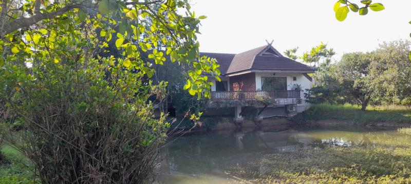 บ้านพร้อมที่ดิน 72000000 เชียงใหม่ สันทราย หนองหาร