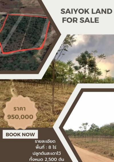 ที่ดิน 950000 ปทุมธานี คลองหลวง