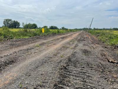 ที่ดิน 1700000 ปทุมธานี หนองเสือ บึงบา