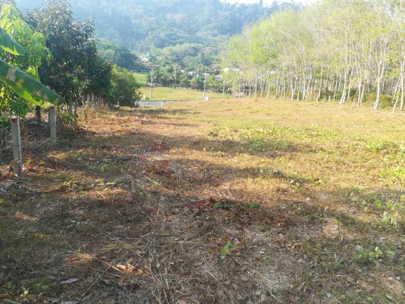 ที่ดิน 30000000 ภูเก็ต ถลาง สาคู