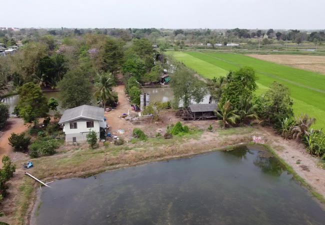 ที่ดิน 30862500 กรุงเทพมหานคร เขตหนองจอก