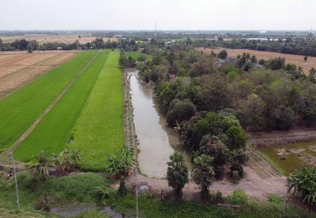 ที่ดิน 30862500 กรุงเทพมหานคร เขตหนองจอก