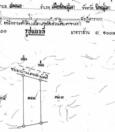 ที่ดิน 1200000 พิษณุโลก เมืองพิษณุโลก สมอแข