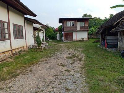ที่ดิน 24500 เชียงใหม่ หางดง หนองควาย