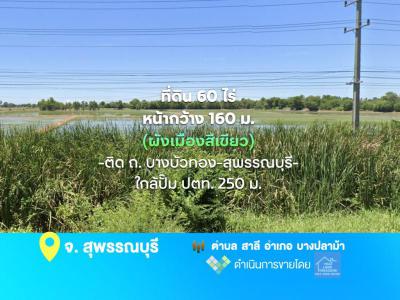 ที่ดิน 145240000 สุพรรณบุรี บางปลาม้า สาลี