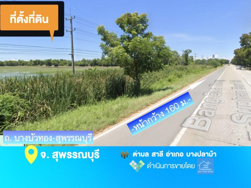 ที่ดิน 145240000 สุพรรณบุรี บางปลาม้า สาลี