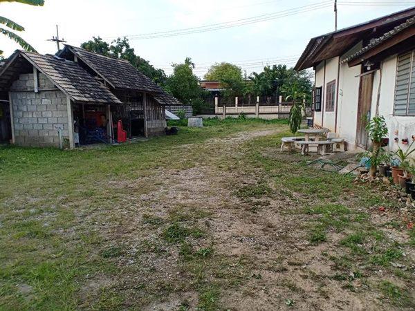 ที่ดิน 24500 เชียงใหม่ หางดง หนองควาย