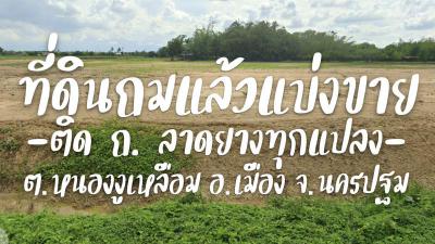 ที่ดิน 1700000 นครปฐม เมืองนครปฐม หนองงูเหลือม