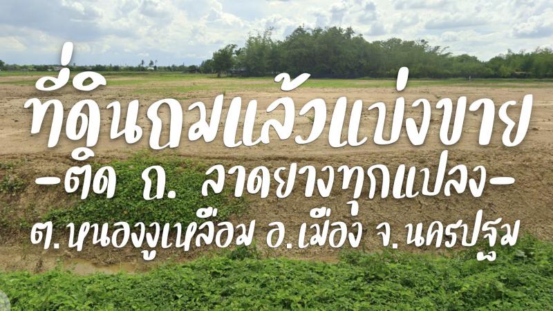 ที่ดิน 1700000 นครปฐม เมืองนครปฐม หนองงูเหลือม