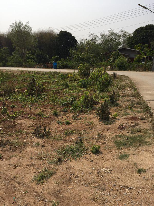 ที่ดิน 8000000 ปทุมธานี ลำลูกกา ลำลูกกา