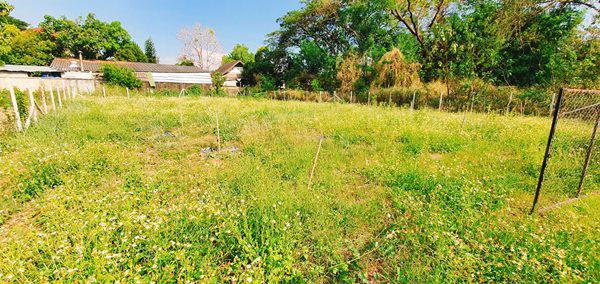 ที่ดิน 3762000 เชียงใหม่ เมืองเชียงใหม่ ป่าแดด
