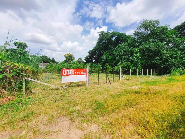 ที่ดิน 3762000 เชียงใหม่ เมืองเชียงใหม่ ป่าแดด