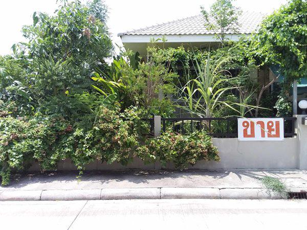 บ้านเดี่ยว 1650000 หนองคาย เมืองหนองคาย วัดธาตุ