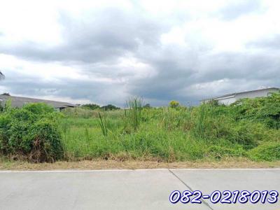 ที่ดิน 77700000 นนทบุรี บางบัวทอง บางรักพัฒนา
