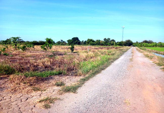 ที่ดิน 3293500 ฉะเชิงเทรา เมืองฉะเชิงเทรา คลองหลวงแพ่ง