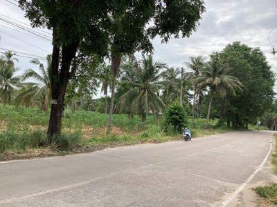 ที่ดิน 35000000 ชลบุรี บางละมุง ตะเคียนเตี้ย