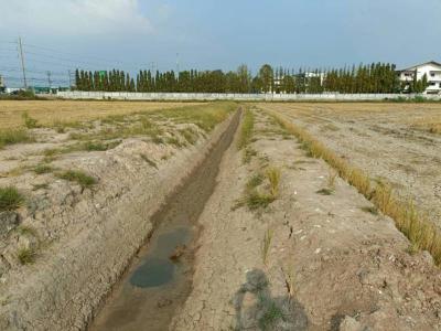 ที่ดิน 8000000 ฉะเชิงเทรา บางคล้า เสม็ดเหนือ