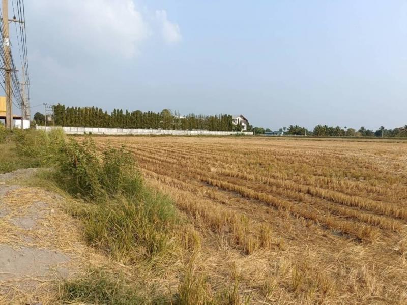 ที่ดิน 8000000 ฉะเชิงเทรา บางคล้า เสม็ดเหนือ