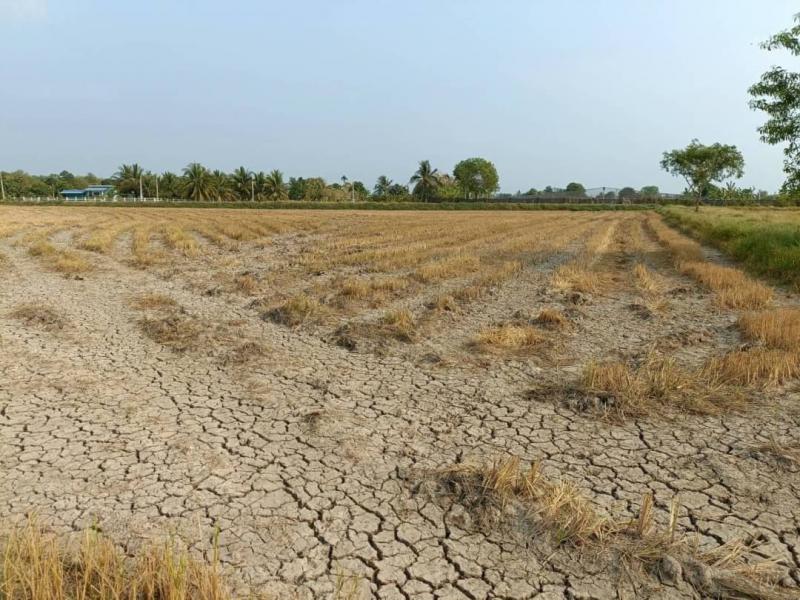 ที่ดิน 8000000 ฉะเชิงเทรา บางคล้า เสม็ดเหนือ