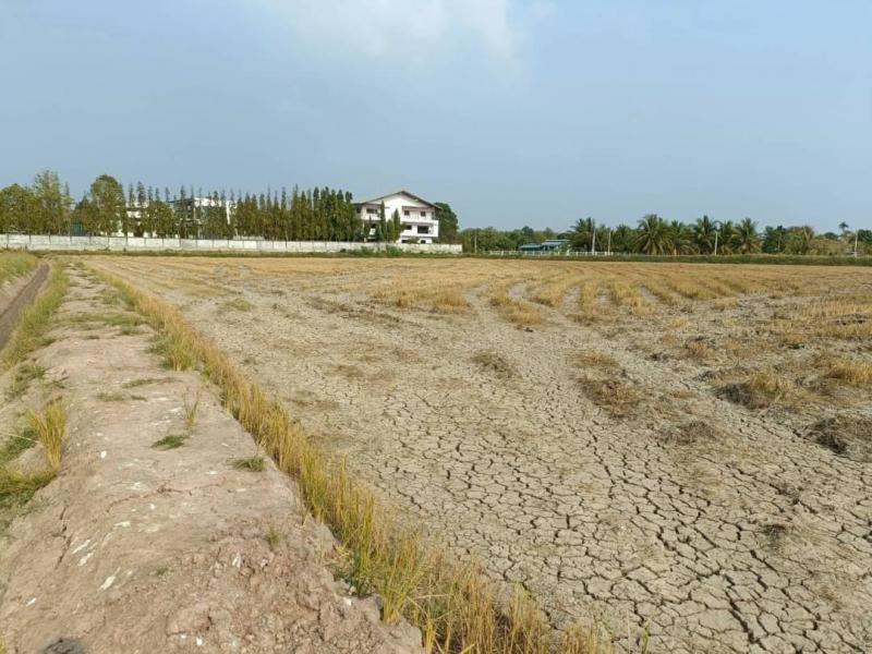ที่ดิน 8000000 ฉะเชิงเทรา บางคล้า เสม็ดเหนือ