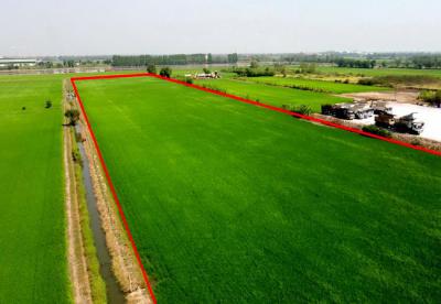 ที่ดิน 70000000 ปทุมธานี ลำลูกกา ลำไทร