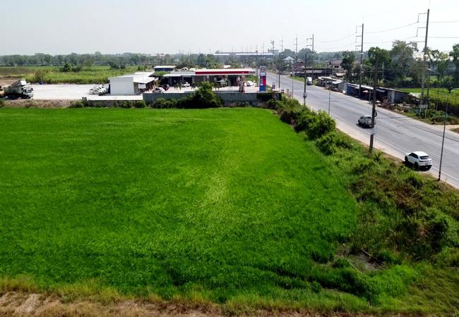 ที่ดิน 70000000 ปทุมธานี ลำลูกกา ลำไทร