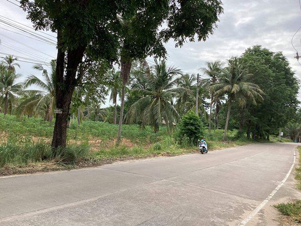 ที่ดิน 35000000 ชลบุรี บางละมุง ตะเคียนเตี้ย