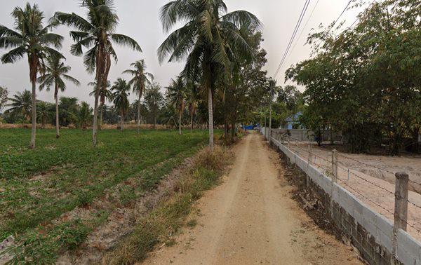 ที่ดิน 35000000 ชลบุรี บางละมุง ตะเคียนเตี้ย