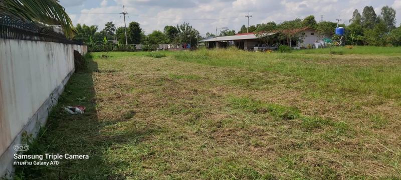 ที่ดิน 5900000 ขอนแก่น เมืองขอนแก่น บึงเนียม