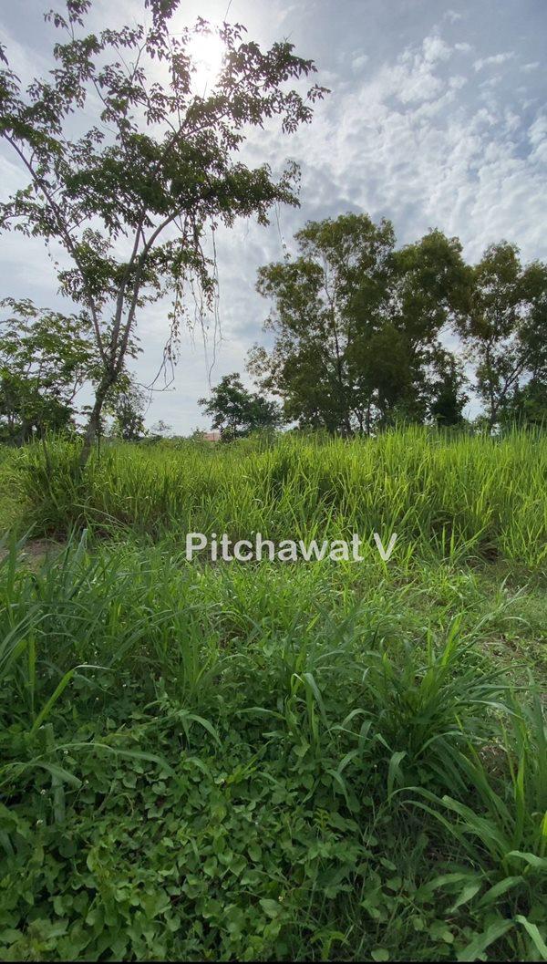 ที่ดิน 9000000 ชลบุรี ศรีราชา บางพระ
