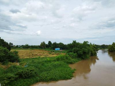 ที่ดิน 23902000 สุพรรณบุรี เดิมบางนางบวช ปากน้ำ