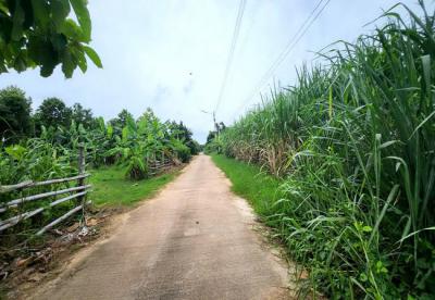 ที่ดิน 4770000 ชลบุรี บ่อทอง ธาตุทอง