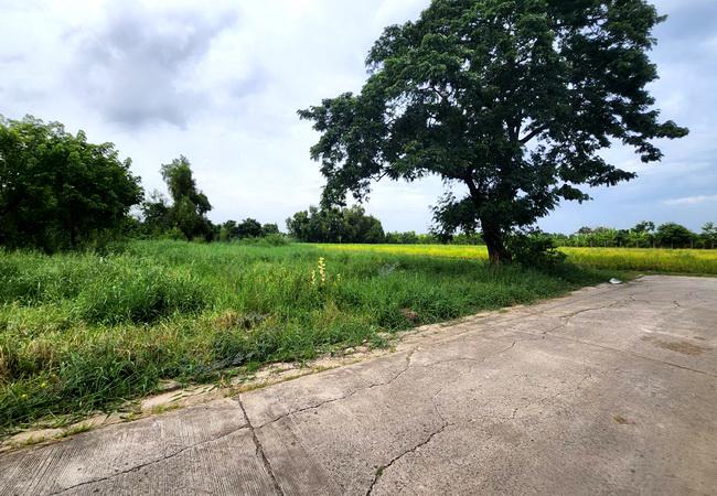 ที่ดิน 3300000 กรุงเทพมหานคร เขตหนองจอก โคกแฝด
