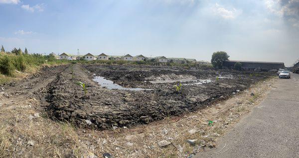 ที่ดิน 29000 กรุงเทพมหานคร เขตบางขุนเทียน แสมดำ