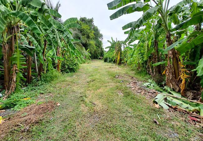 ที่ดิน 42680000 นนทบุรี ปากเกร็ด บางพูด
