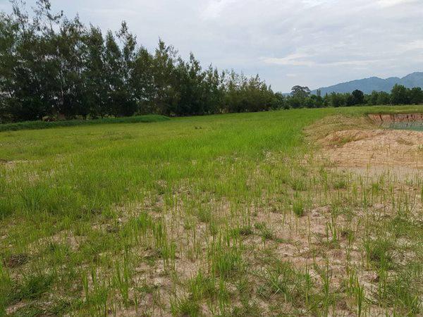 ที่ดิน 400000 นครนายก บ้านนา บ้านพร้าว