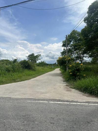 ที่ดิน 400000 สระบุรี แก่งคอย ชำผักแพว