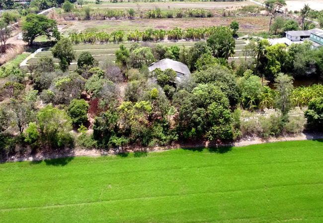 บ้านพร้อมที่ดิน 3900000 พระนครศรีอยุธยา ลาดบัวหลวง สิงหนาท