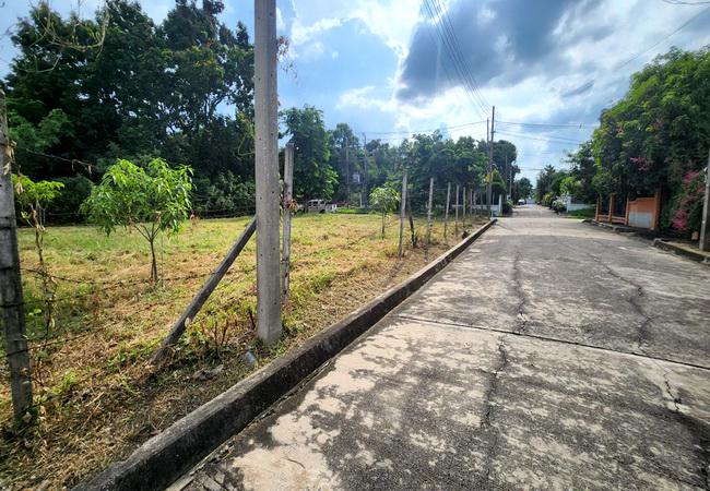 ที่ดิน 6583000 ปทุมธานี ธัญบุรี ประชาธิปัตย์
