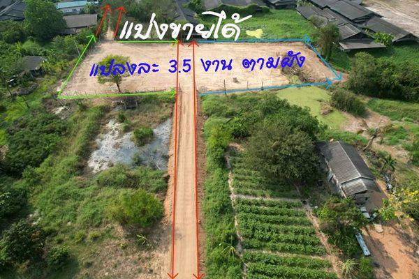 ที่ดิน 2500000 ชลบุรี พนัสนิคม บ้านช้าง