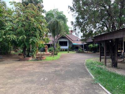 บ้านเดี่ยว 23000000 เชียงใหม่ เมืองเชียงใหม่ หนองหอย