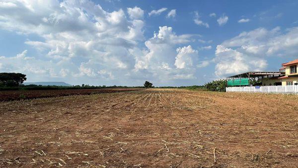 ที่ดิน 2000000 ลพบุรี พัฒนานิคม หนองบัว