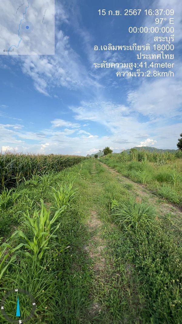 ที่ดิน 750000 สระบุรี เฉลิมพระเกียรติ เขาดินพัฒนา