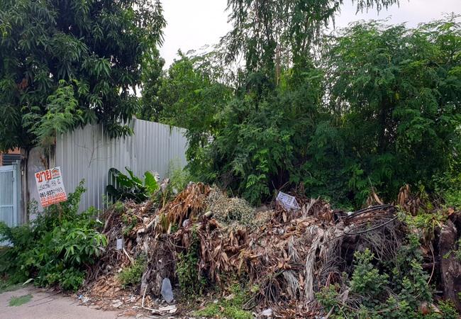 ที่ดิน 1800000 ปทุมธานี ธัญบุรี ประชาธิปัตย์