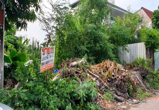 ที่ดิน 1800000 ปทุมธานี ธัญบุรี ประชาธิปัตย์