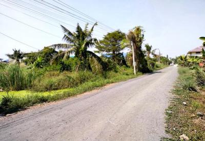 ที่ดิน 1100000 กรุงเทพมหานคร เขตคลองสามวา ทรายกองดินใต้