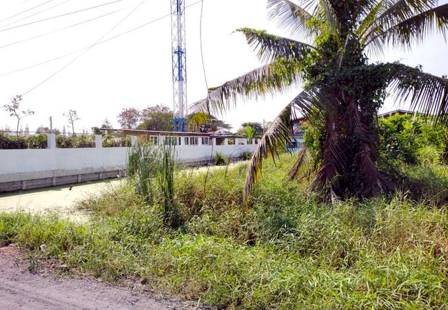 ที่ดิน 1100000 กรุงเทพมหานคร เขตคลองสามวา ทรายกองดินใต้