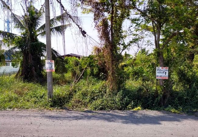ที่ดิน 1100000 กรุงเทพมหานคร เขตคลองสามวา ทรายกองดินใต้