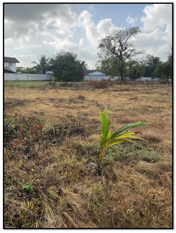 ที่ดิน 25000000 สงขลา เมืองสงขลา เกาะยอ